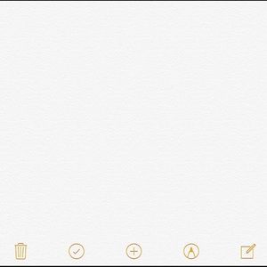 Meet your Posher, Steven